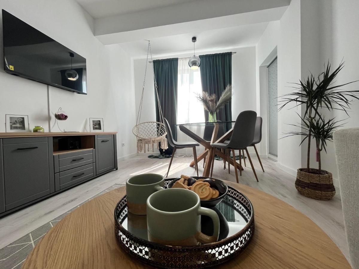 Dio'S Apartment 29F-1 Sfintu Ilie 外观 照片